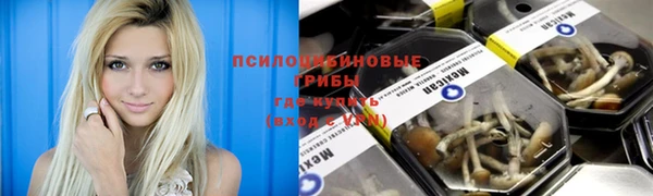 прущая мука Алексин